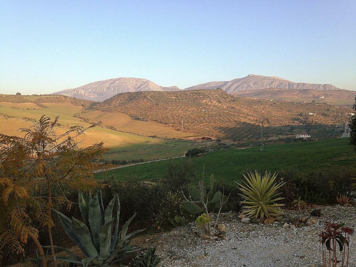 Casa Las Olivas Bed & Breakfast Alora Dış mekan fotoğraf