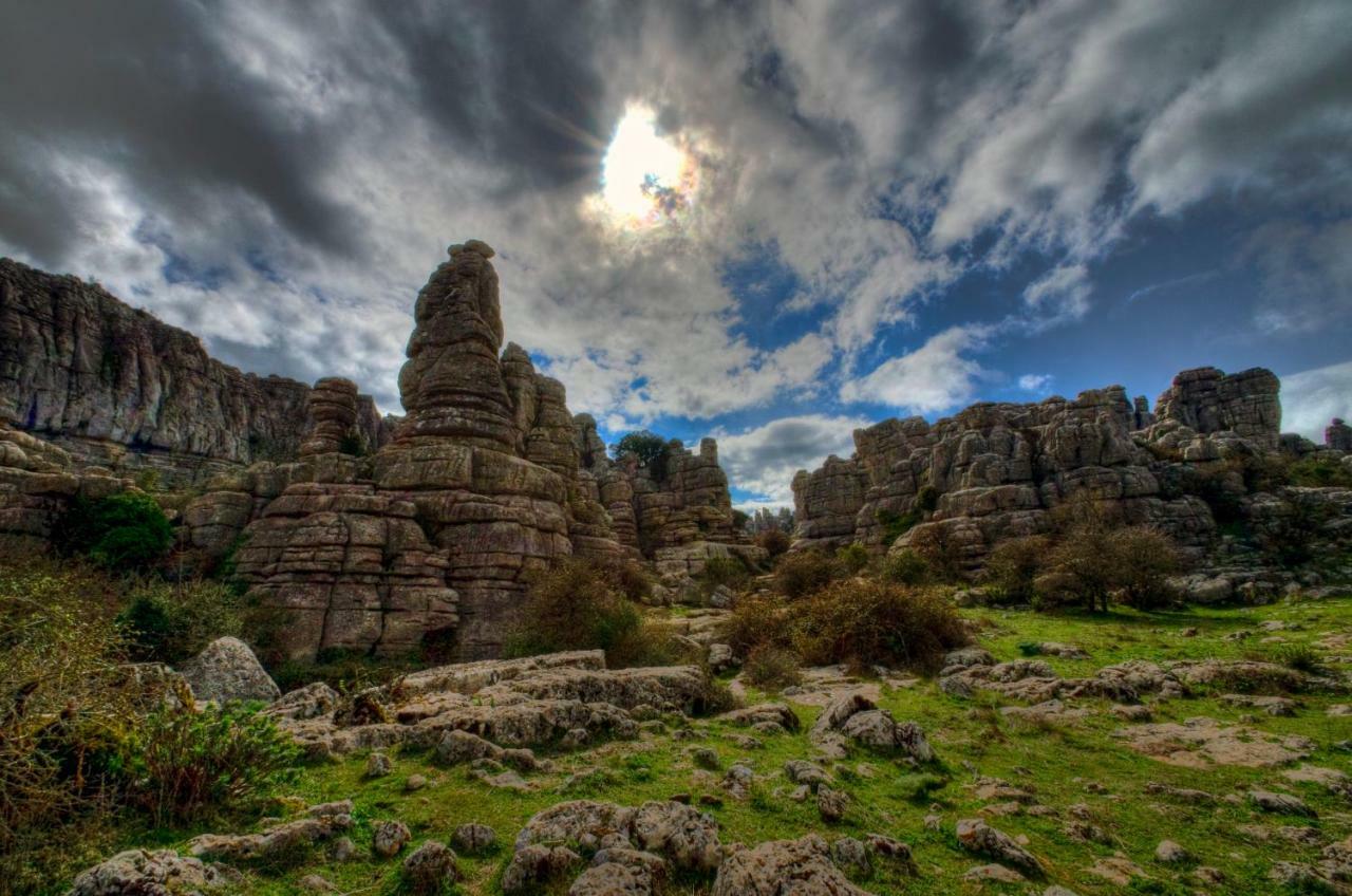 Casa Las Olivas Bed & Breakfast Alora Dış mekan fotoğraf